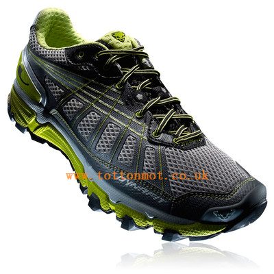 Dynafit Pantera Trail Running Shoes Grey Men's Running Light Trail